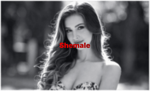 Shemale & Trans Porn: La Guida Completa per lo Spettatore
